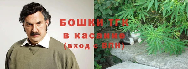 сатива Верхний Тагил